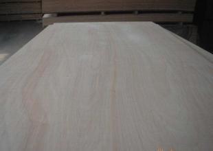 供應盈康木業(yè)供應E1級5厘環(huán)保膠合板_建筑建材_世界工廠網(wǎng)中國產(chǎn)品信息庫