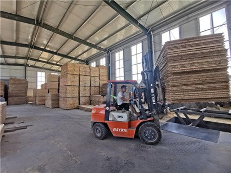 特色產(chǎn)業(yè)助力鄉(xiāng)村振興——木業(yè)的綠色發(fā)展之路